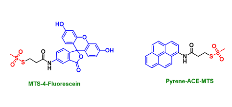 Fluorescent labelled reagents
